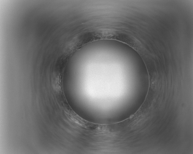 X0000053020866200507152011