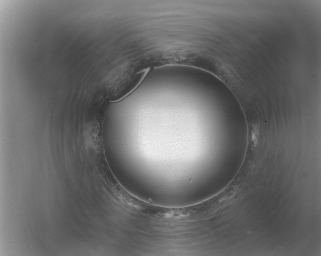 X0000053020867200507152011
