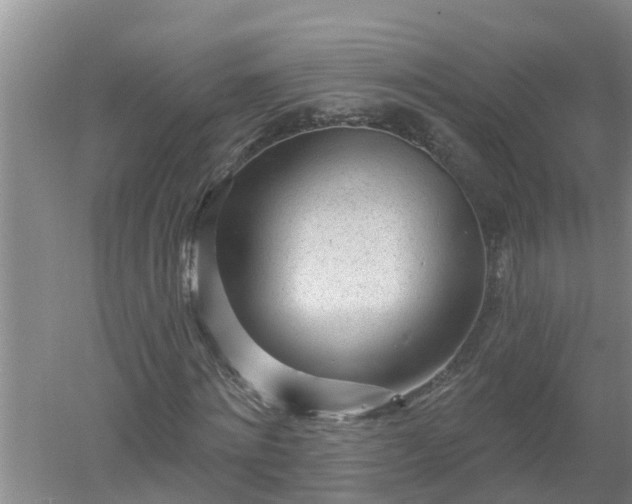 X0000053020868200507152011