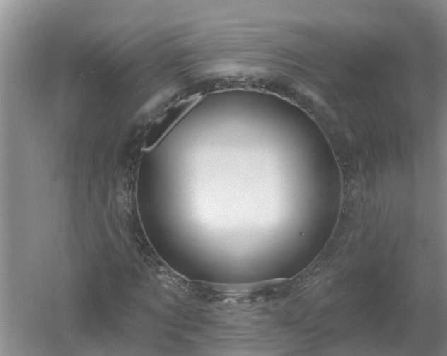 X0000053020869200507152011