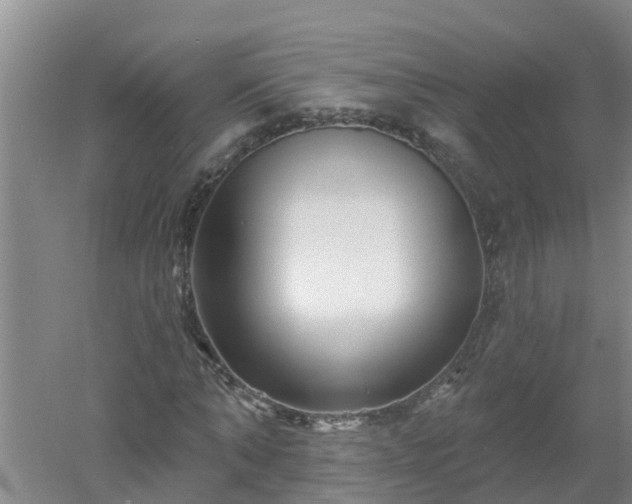 X0000053020870200507152011