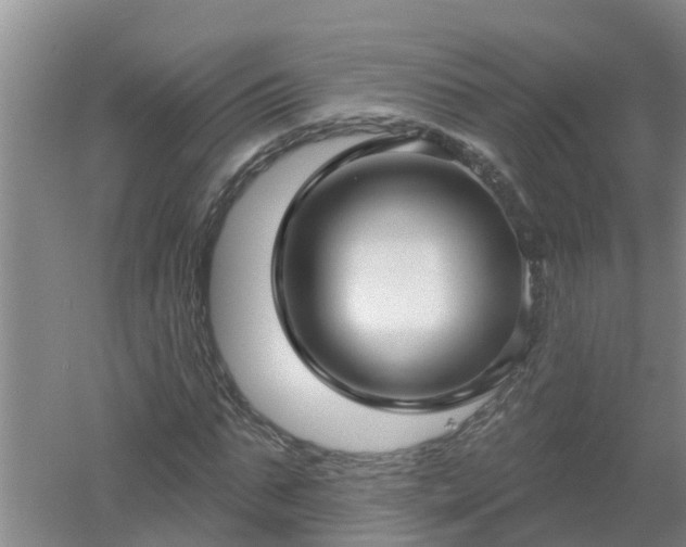 X0000053020871200507152011