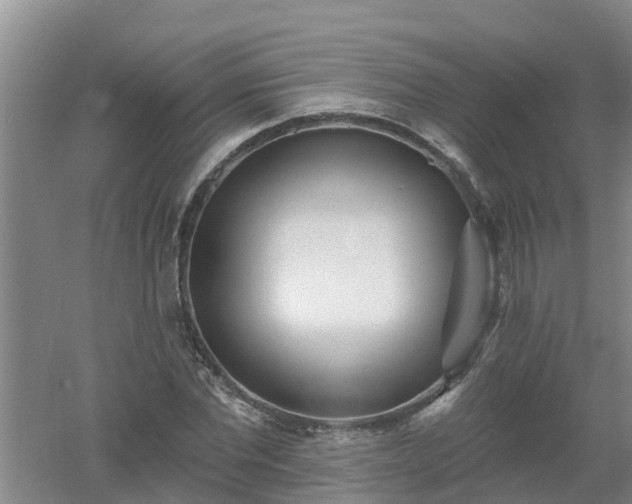 X0000053020877200507152011