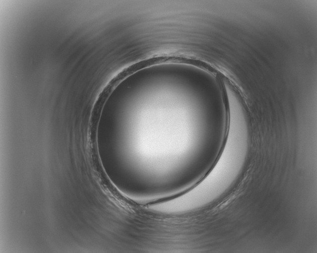 X0000053020880200507152011