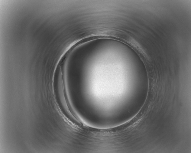 X0000053020884200507152011