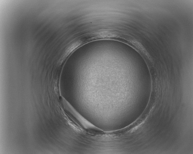 X0000053020889200507152011