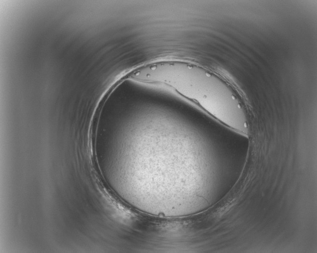 X0000053020892200507152011