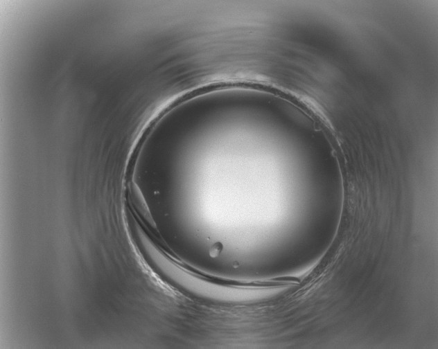 X0000053020895200507152011