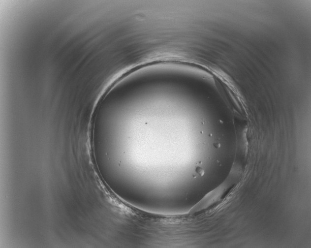 X0000053020904200507152010