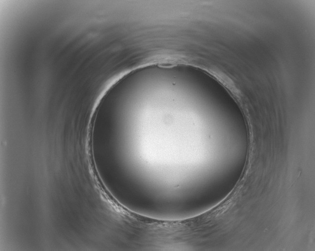 X0000053020912200507152010