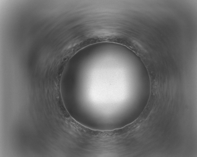 X0000053020917200507152010