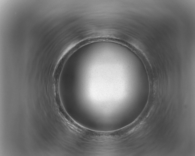X0000053020925200507152010