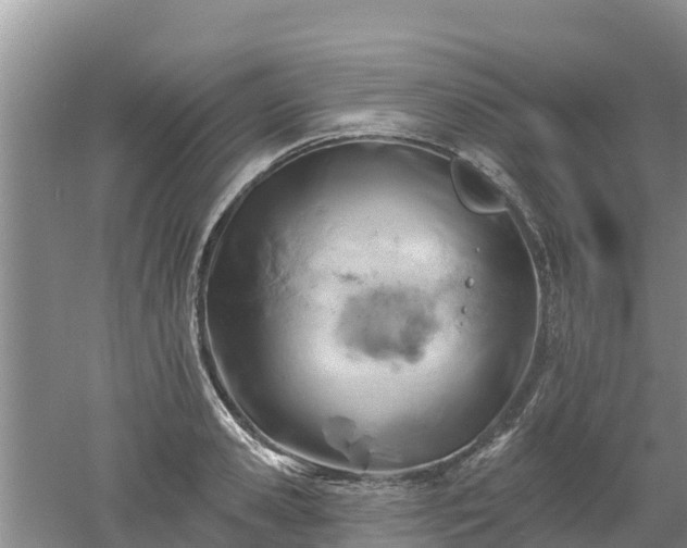 X0000053020941200507152010