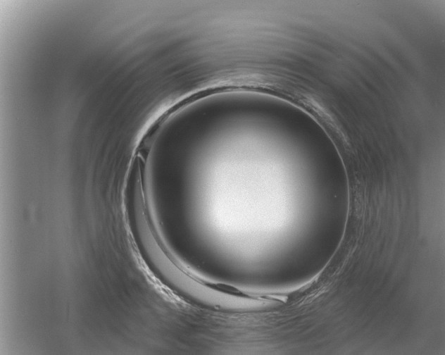 X0000053020944200507152010