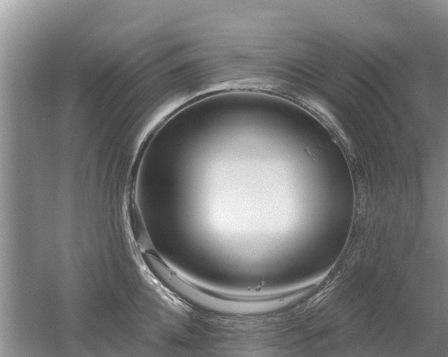 X0000053020952200507152010