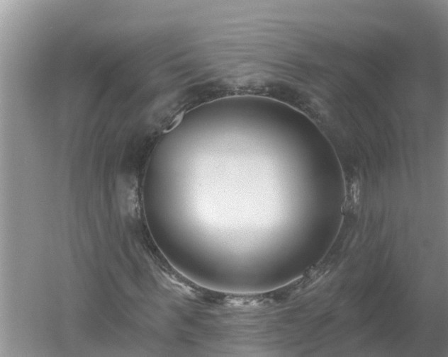 X0000053020963200507152009