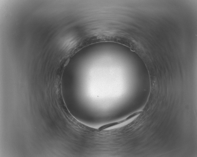 X0000053021012200507152008