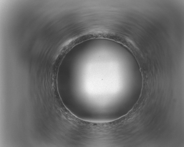 X0000053021016200507152008