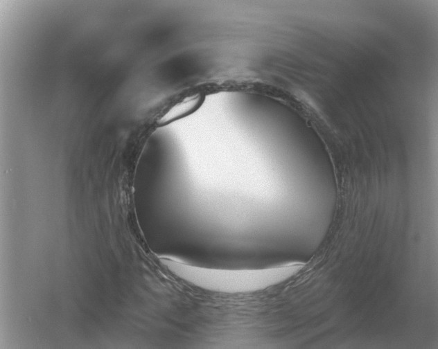 X0000053021063200507152008