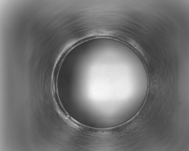 X0000053021080200507152007
