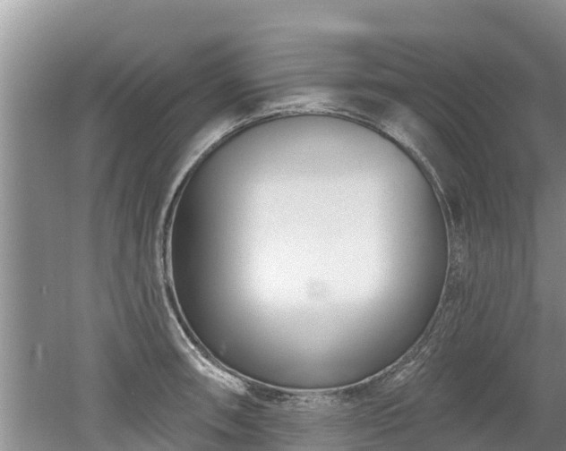 X0000053021090200507152007