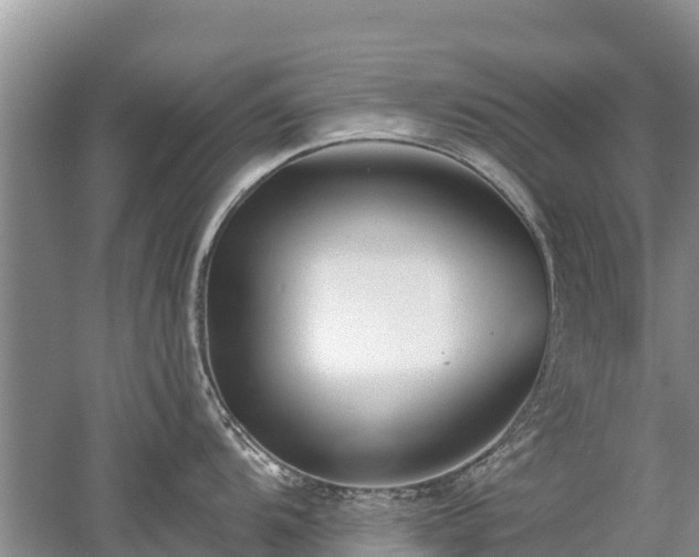 X0000053021104200507152007