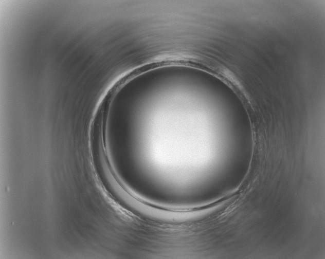 X0000053021124200507152007
