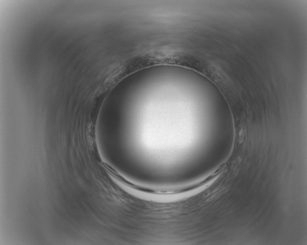 X0000053021156200507152006