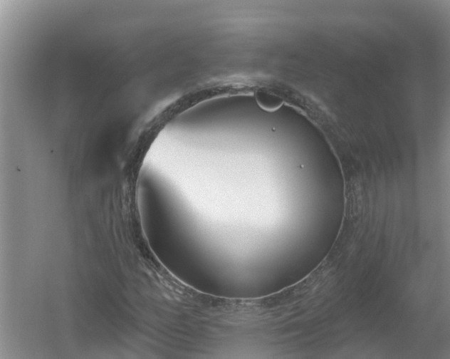 X0000053021158200507152006