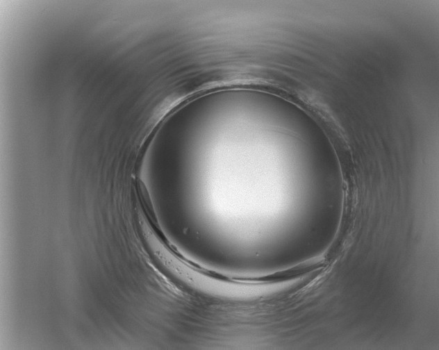X0000053021177200507152006