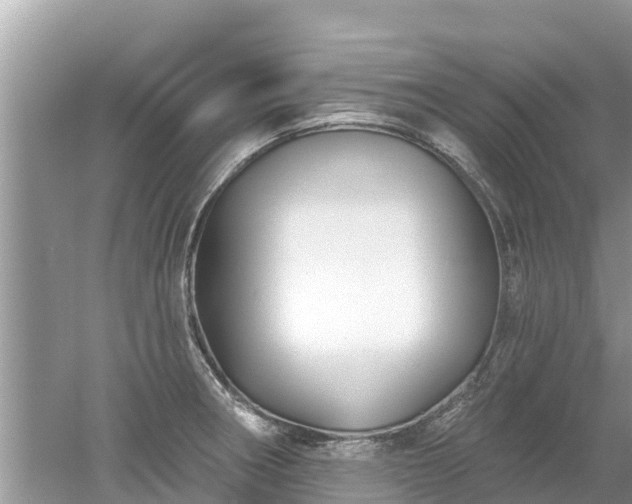 X0000053021282200507152004