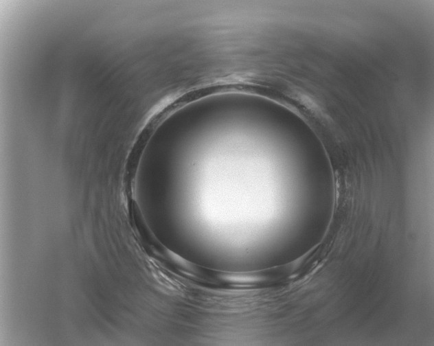 X0000053021308200507152003