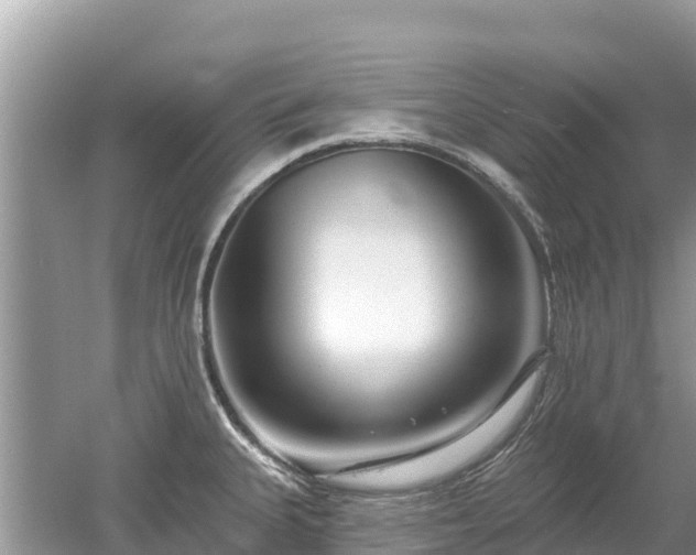 X0000053021335200507152004