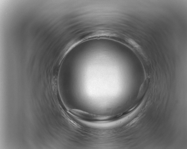 X0000053021369200507152003