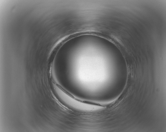 X0000053021452200507152001