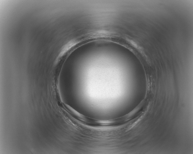 X0000053021453200507152001