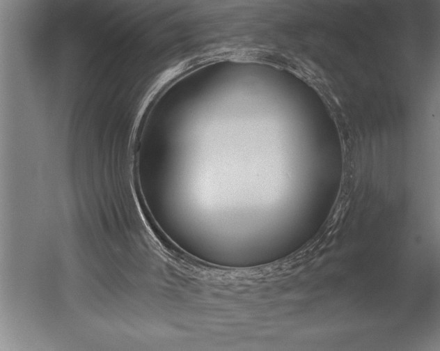 X0000053020003200507221352