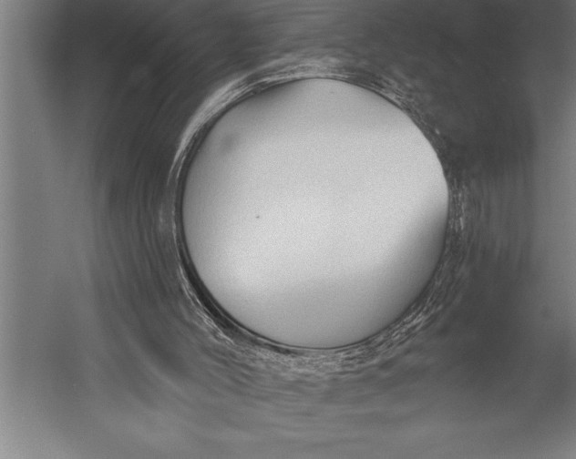X0000053020004200507221352