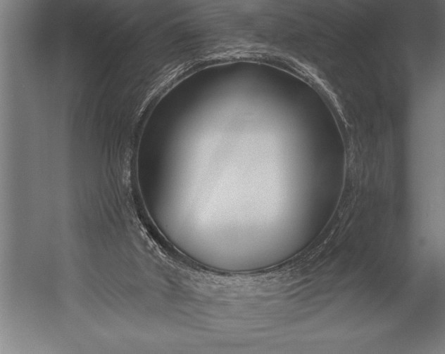 X0000053020010200507221352