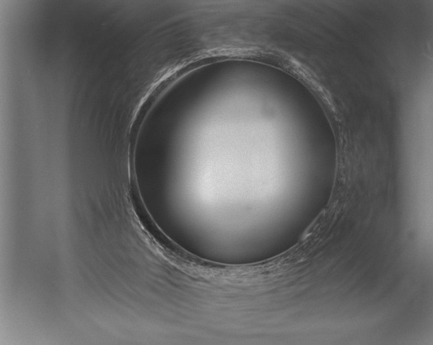 X0000053020011200507221352