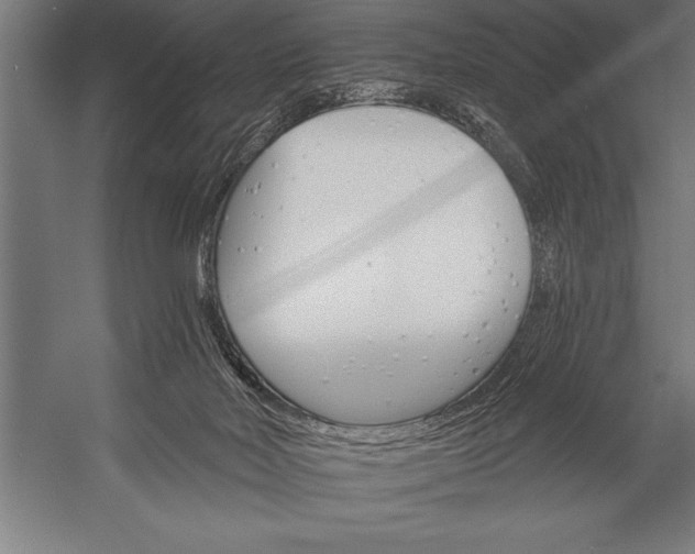 X0000053020026200507221351