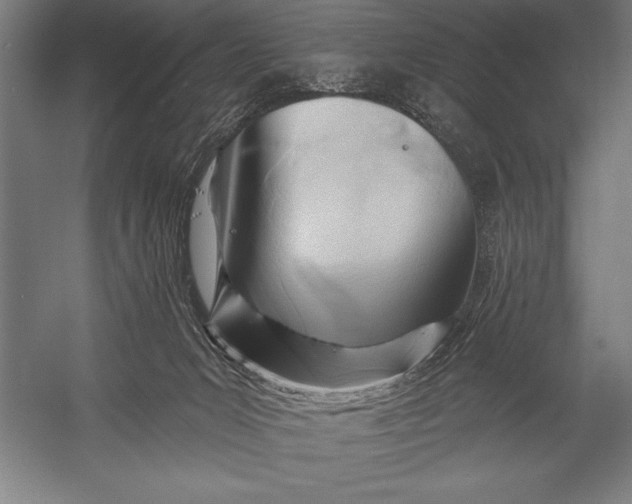 X0000053020031200507221351