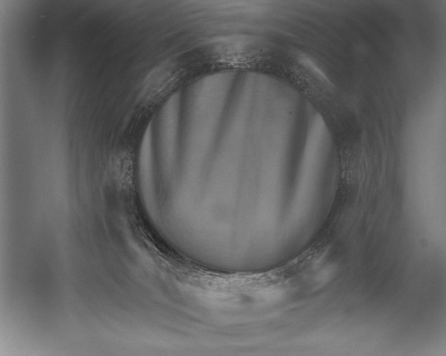 X0000053020036200507221351