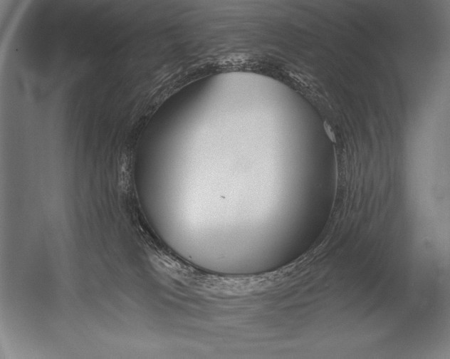 X0000053020037200507221351