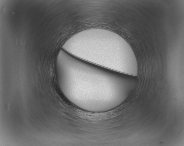 X0000053020039200507221351