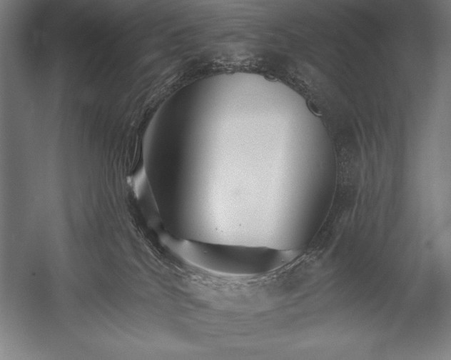 X0000053020040200507221351