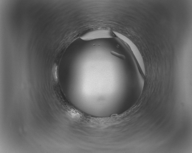 X0000053020041200507221351