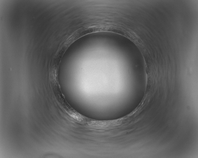 X0000053020045200507221351