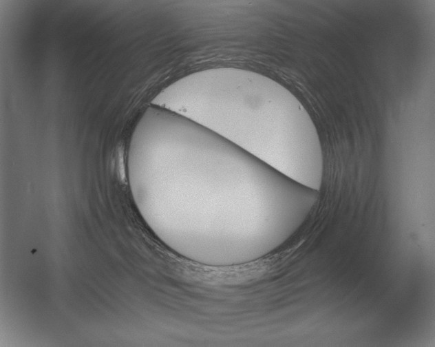 X0000053020046200507221351
