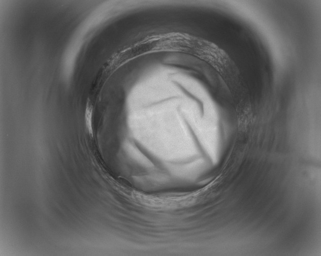 X0000053020047200507221351